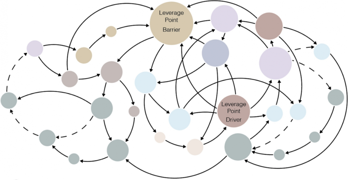 Fig. 2. Systems dynamics maps are a key tool in the framework, enabling the visualization of variables governing the flow of different types of capital, feedback between variables and drivers and barriers in the system. Barriers are represented by variables that have a large number of inflow arrows as they require multiple types of resources from different variables. Drivers are represented by variables that have a larger number of outflow arrows as they exert greater influence on other variables in the system.
