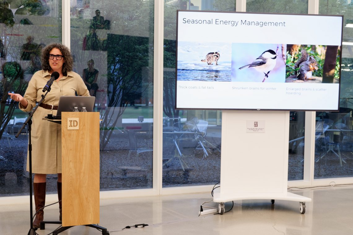 Seasonal energy management slide