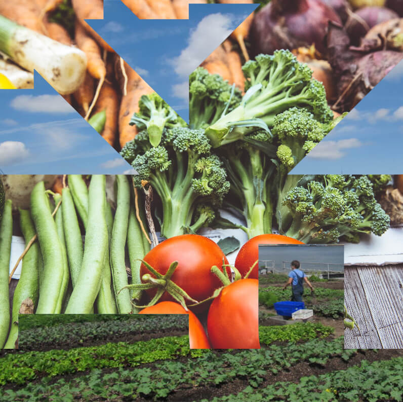Eating on Earth, 2050 Event image
