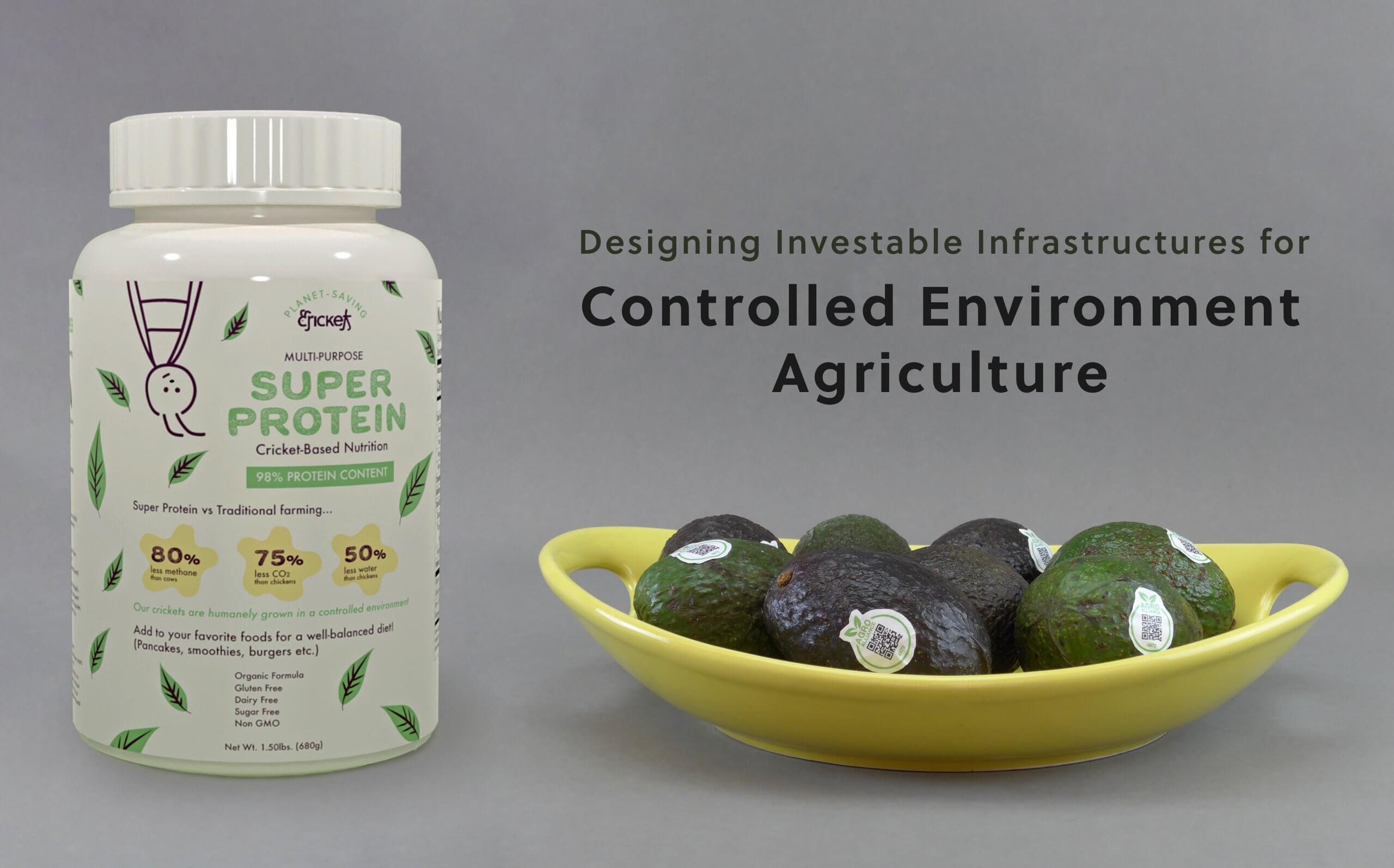 Designing Investable Infrastructures for Controlled Environment Agriculture