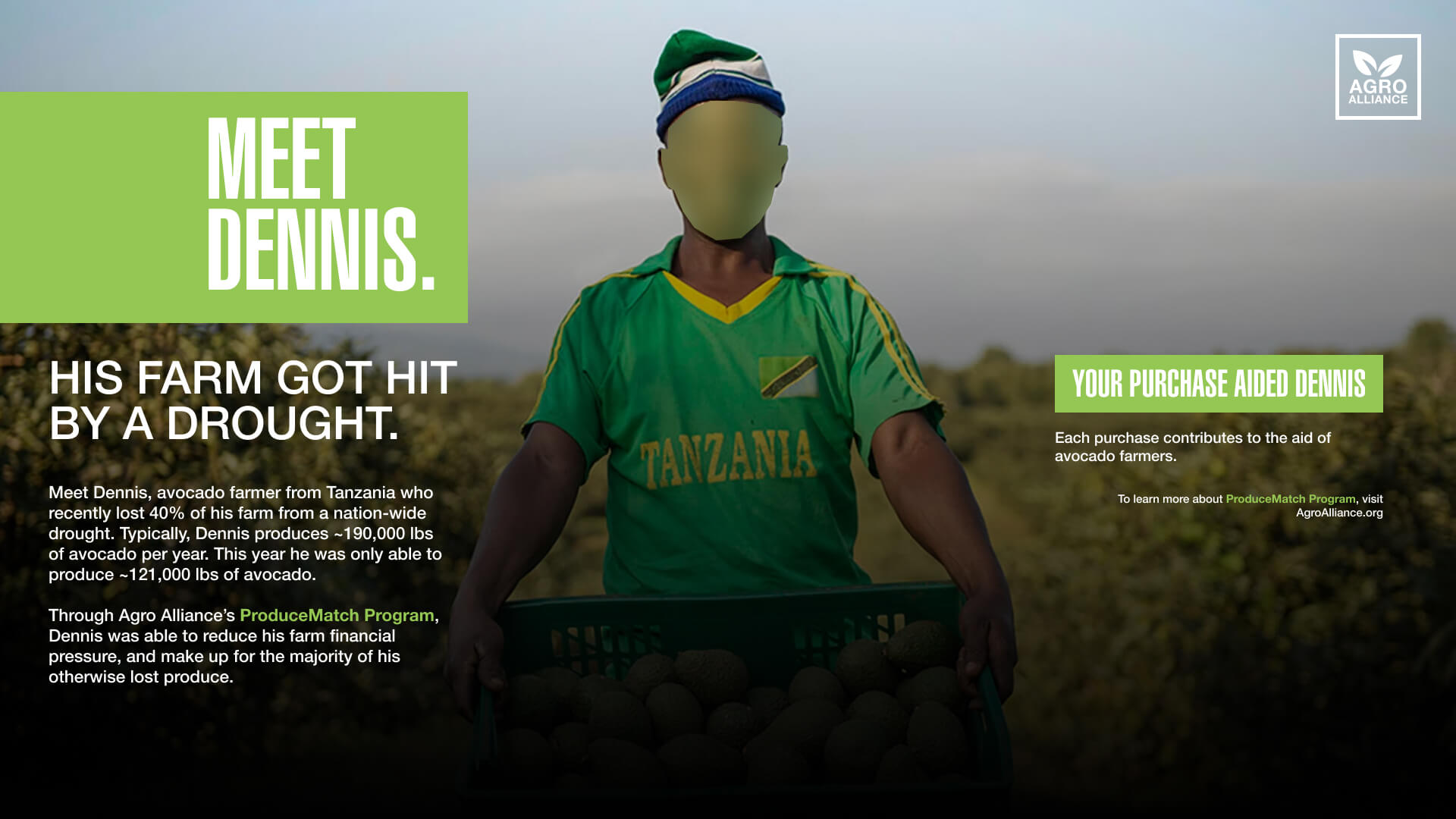 Designing Investable Infrastructures for Controlled Environment Agriculture