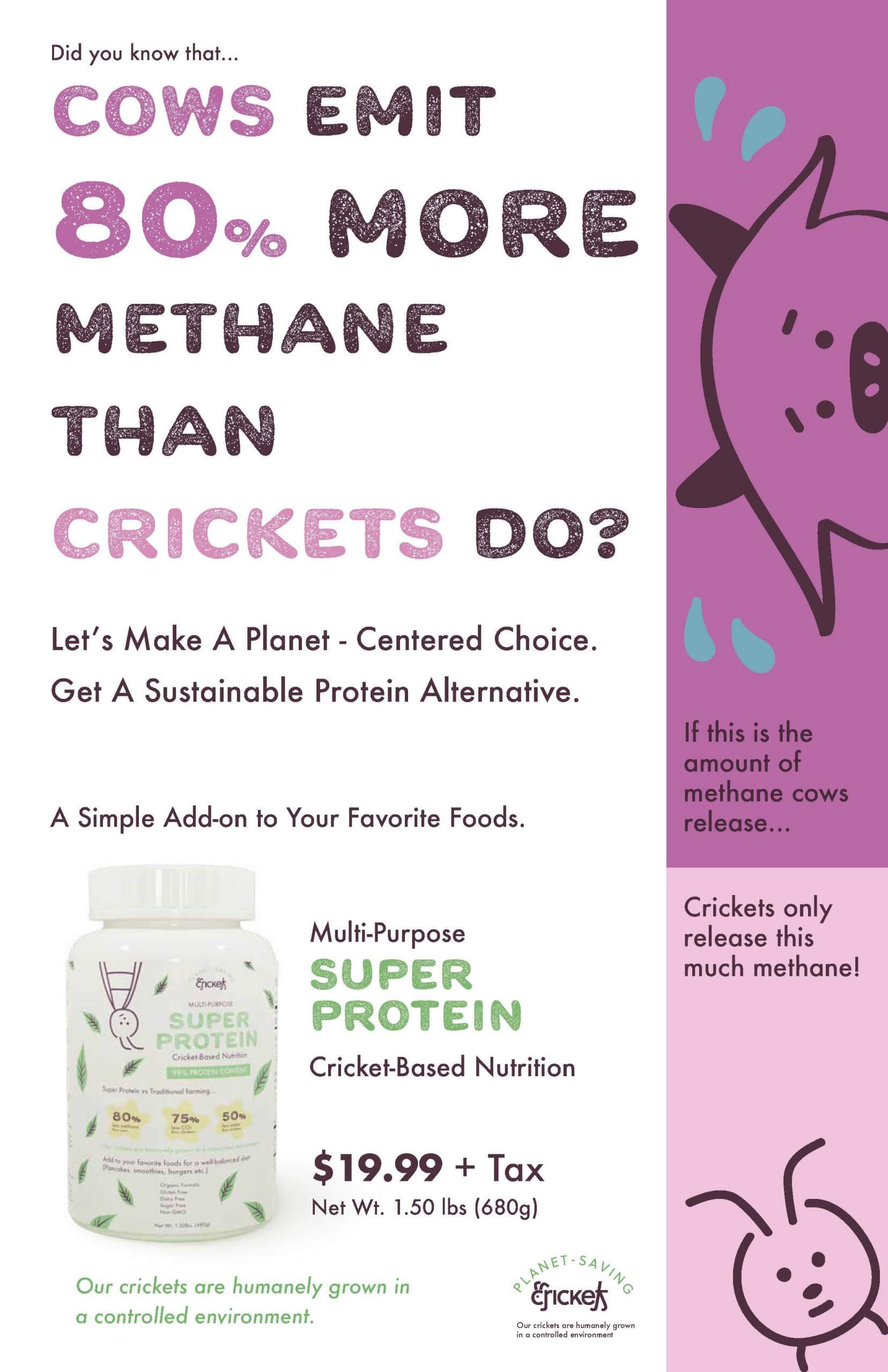 Designing Investable Infrastructures for Controlled Environment Agriculture