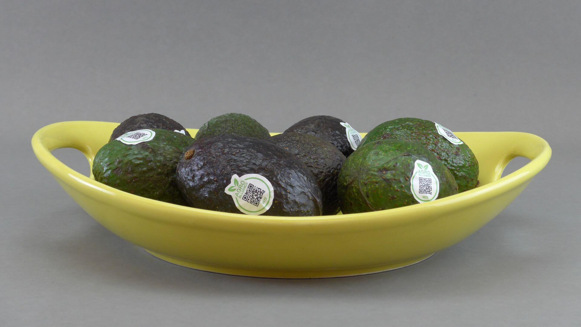 Designing Investable Infrastructures for Controlled Environment Agriculture